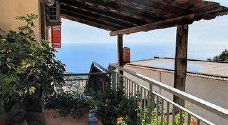 Fattoria Terranova