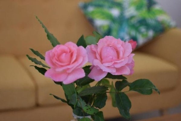 Flowery Inn
