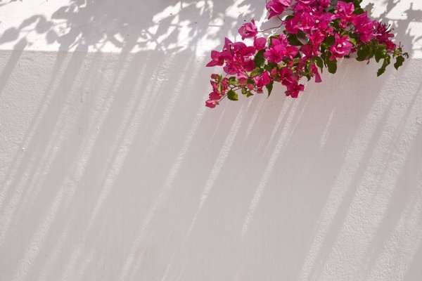 Spetses Retreat