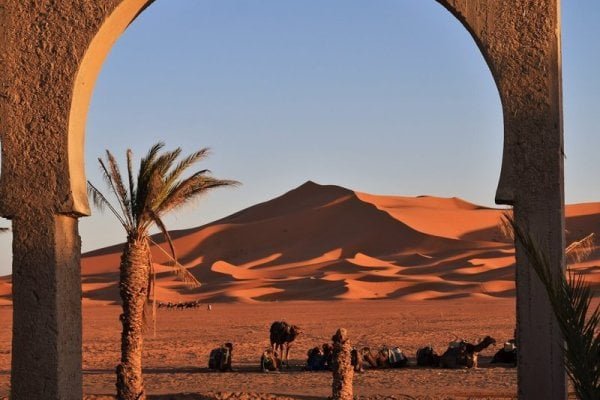 Palmeras y Dunas