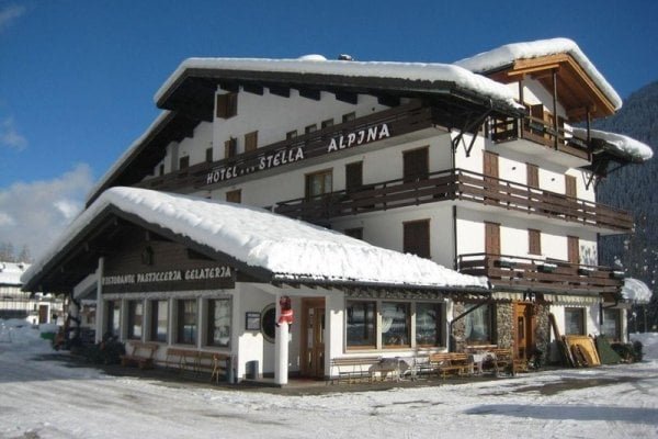 Stella Alpina