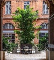 ibis Styles Toulouse Centre Capitole Hotel
