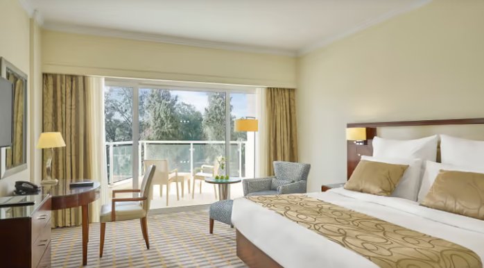 Deluxe Museum View Room
