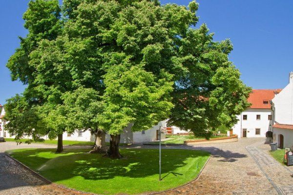 Hotel Monastery