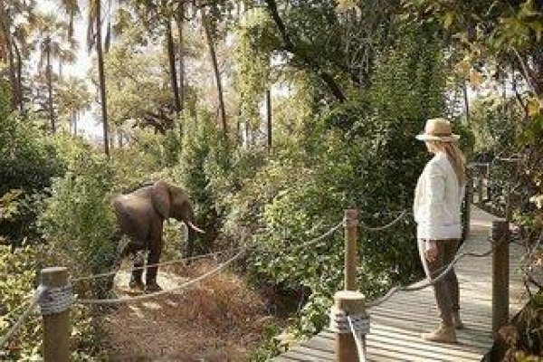 Victoria Falls River Lodge