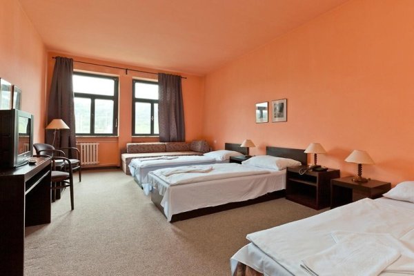 Hotel Branik