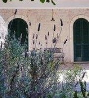 Villa Cenzina B&B