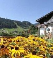 Pension Brandstatthof
