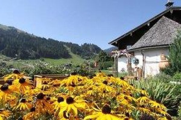 Pension Brandstatthof