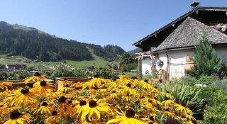 Pension Brandstatthof