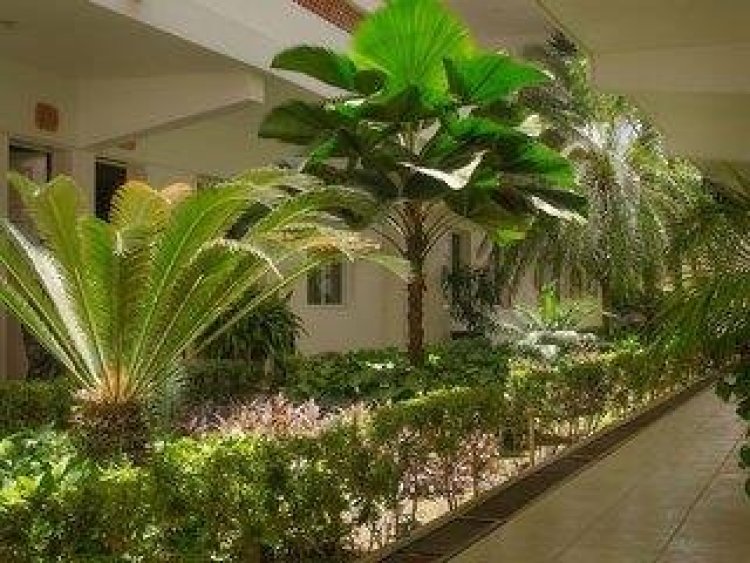 Hotel Casa Blanca