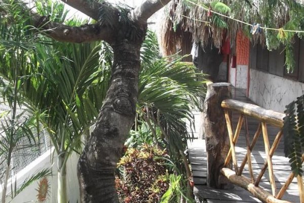 L´hotelito