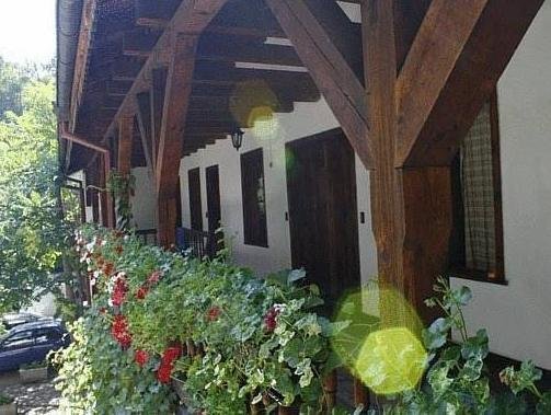 Hostel Mostel