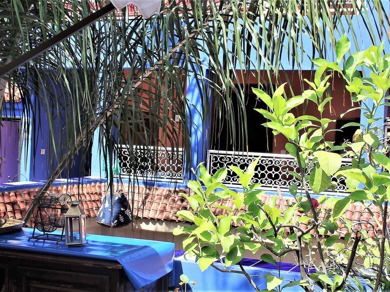Riad Alamine recenzie