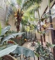 Casa Lupita