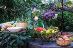 Villa Ketty Resort recenzie