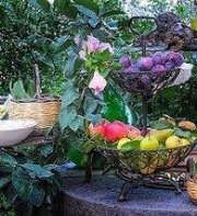 Villa Ketty Resort