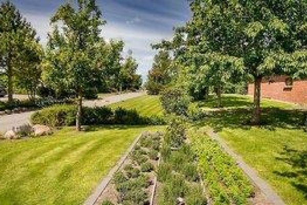 Hotel Der Wilde Schwan