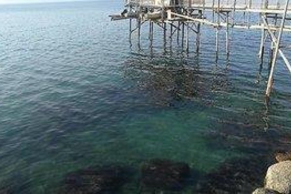 Lo Te E Il Mare