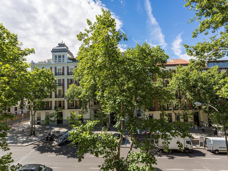 Petit Palace Lealtad Plaza recenzie