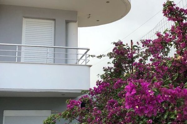 Summer Dream Hotel