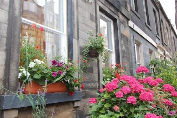 Valentine City Centre Guest House