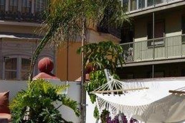 The Urban Jungle Hostel