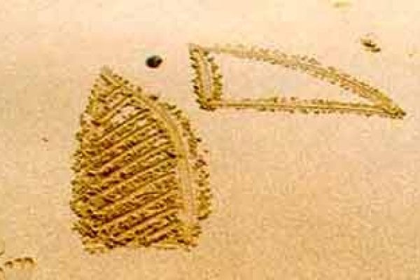 Chryssi Akti & Paradise Beach