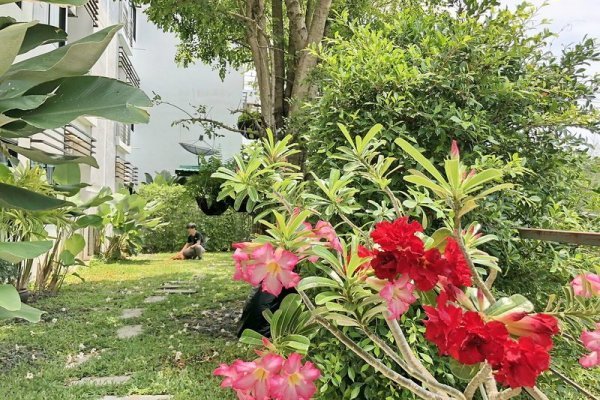 Ideo Phuket Hotel