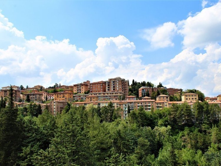 Ilgo