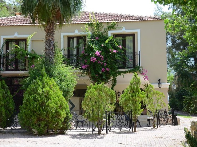 Paradise Garden