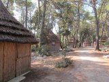 Bungalov Pine Beach recenzie