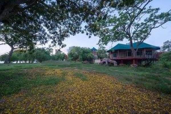 Flameback Eco Lodge