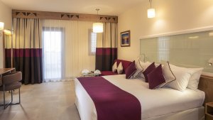 Superior Room with 1 double bed, Garden side