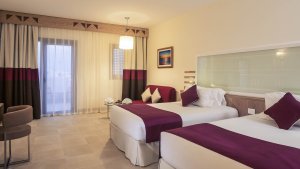 Superior Room with 2 single beds, Garden side