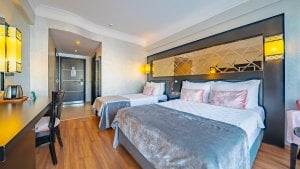 Standard Room with Land View