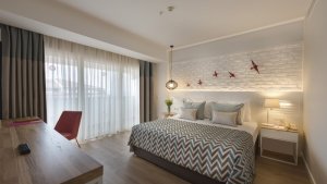 Penthouse Suita