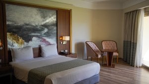 Lagoon Suite Garden View