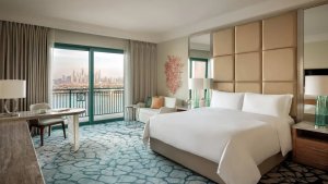 Palm View Room