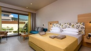 Deluxe Suite with a private terrace