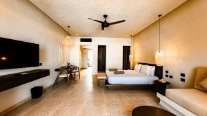 Junior Suite Swim Up heated Garden View