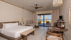 Swim Up Junior Suite Garden View