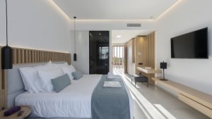 Deluxe Lagoon view suite