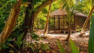 Deluxe Garden Villa