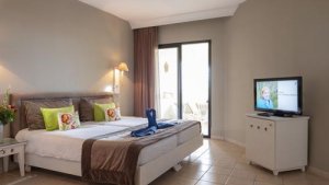Suite in the main building