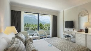 MAIN BUILDING MOUNTAIN VIEW, STANDARD ROOM