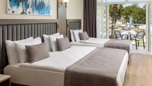 Superior Quad Standard Room