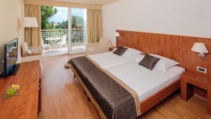 Dvojlôžková izba classic s prístelkou (hotel, balkón, park)