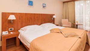 Dvojlôžková izba economy (hotel, park)