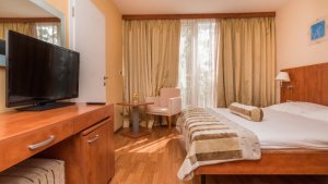 Jednolôžková izba economy (hotel, park)